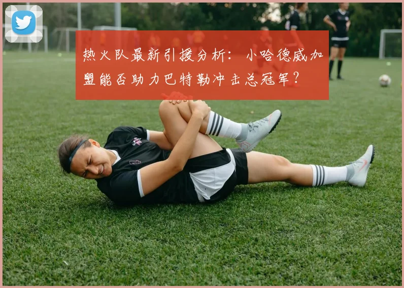 热火队最新引援分析:小哈德威加盟能否助力巴特勒冲击总冠军?
